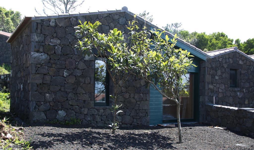 Villa O Farrobo Madalena  Esterno foto